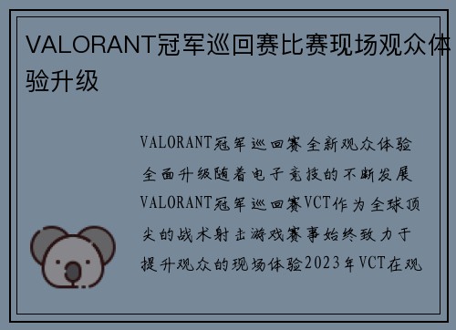 VALORANT冠军巡回赛比赛现场观众体验升级